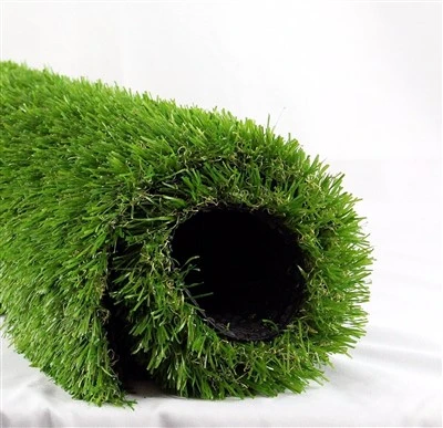 Buiten natuurlijk tuintapijtgras